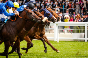 Temple Stakes Trends and Free Tips
